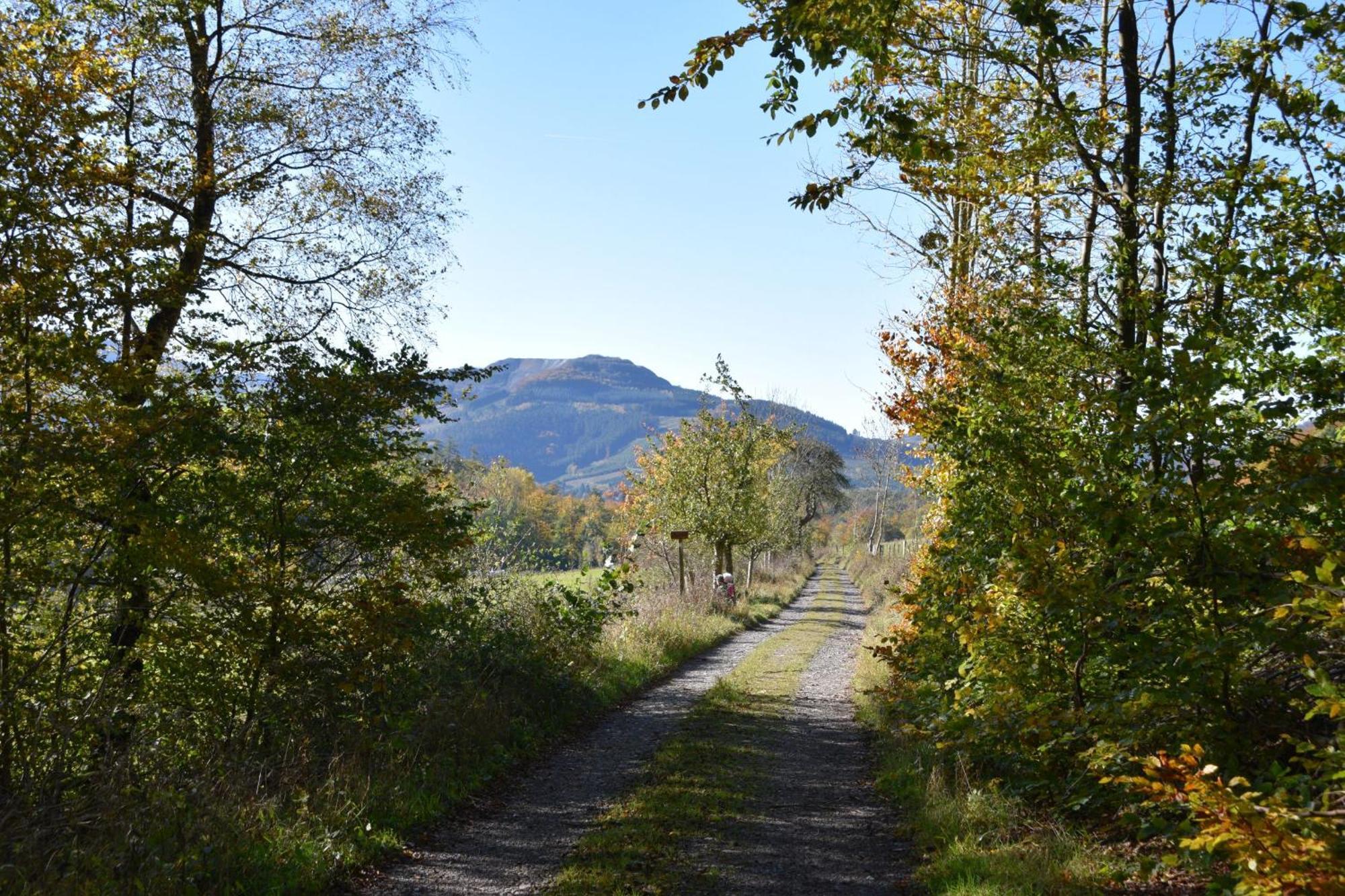 Ferienwohnung Panoramablick Olsberg Luaran gambar