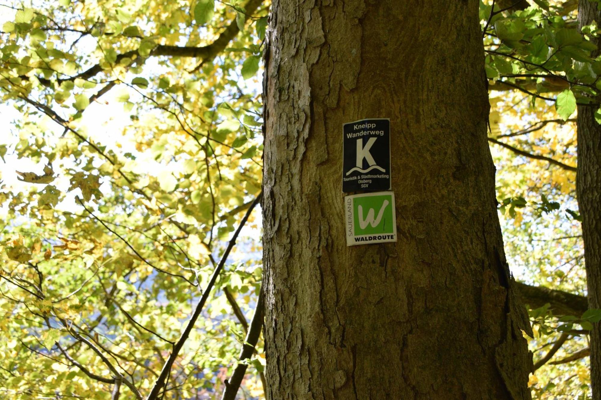 Ferienwohnung Panoramablick Olsberg Luaran gambar